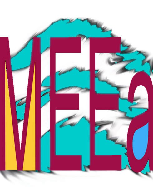 MEEa Museum